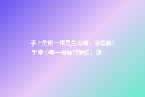 手上的哪一根是生命線，感情線？ 手掌中哪一根是感情線，哪一根是生命線？-第1張-觀點-玄機派